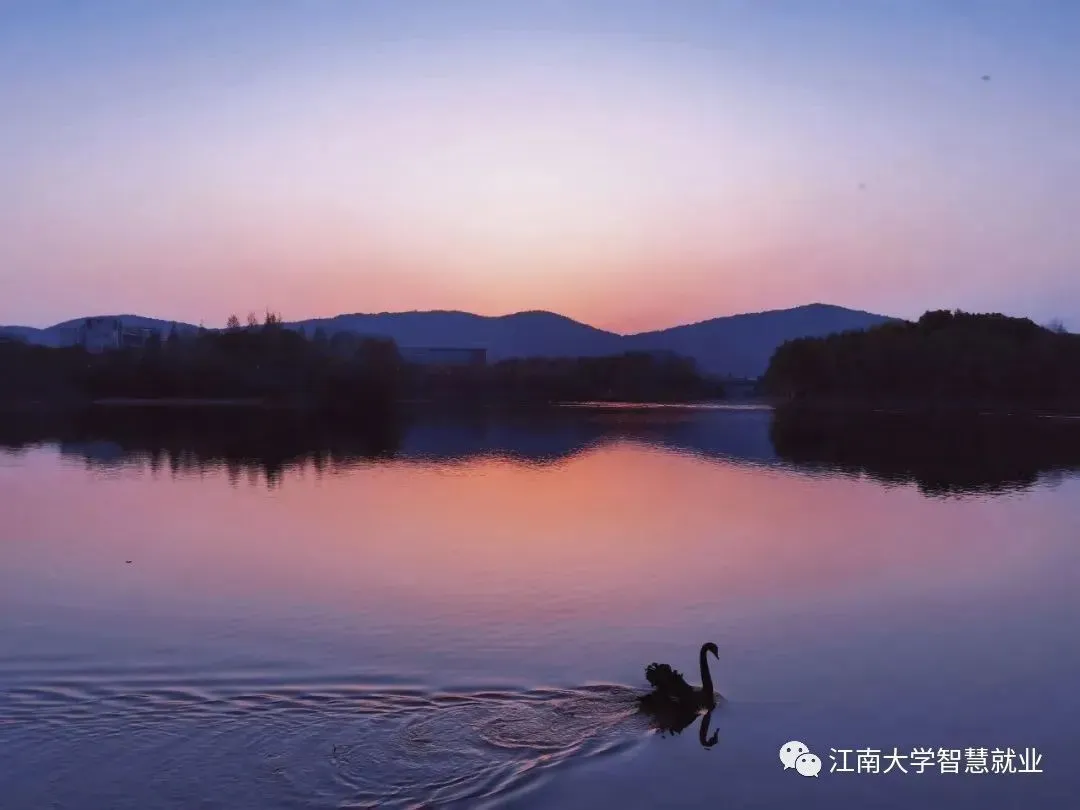 【招聘】三棵树:供应链类、营销业务类、技术研发类等岗位招聘