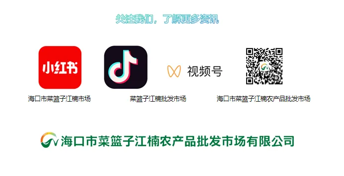 【每日公布】海口市菜篮子江楠市场农残检测结果公示-2026.3.24