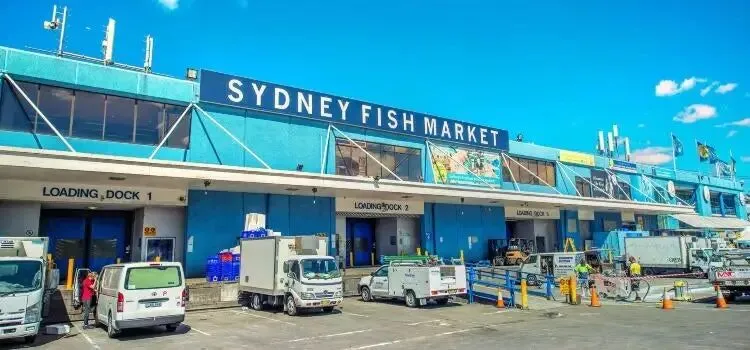 一个海鲜市场,怎么成了城市新地标?