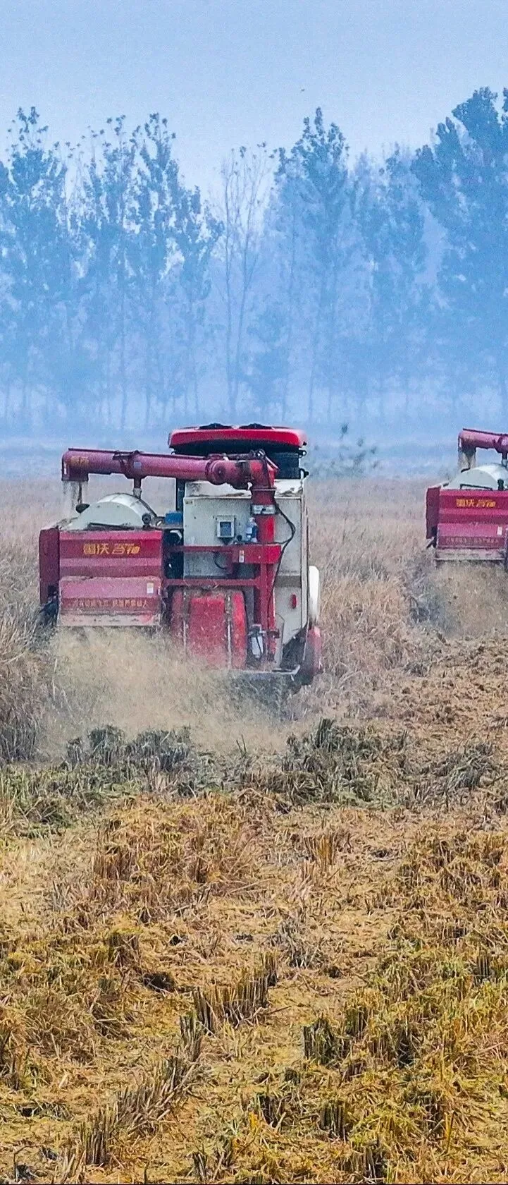 告诫书!泌阳旅游市场经营者一定要做到这些!
