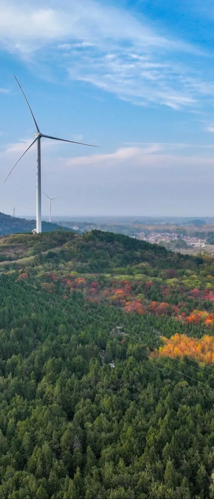 告诫书!泌阳旅游市场经营者一定要做到这些!