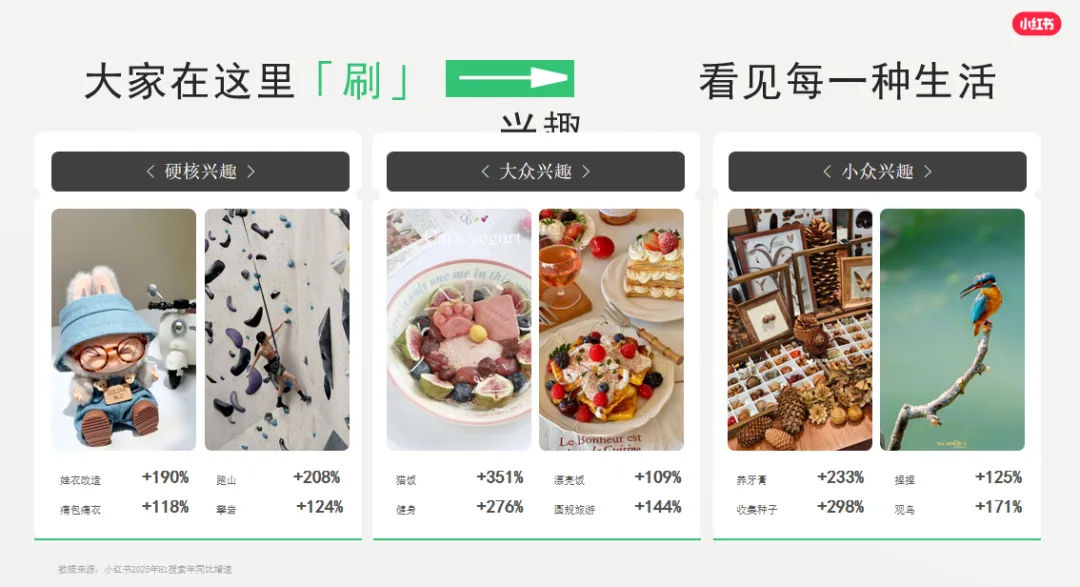 免费资料:小红书平台营销通案