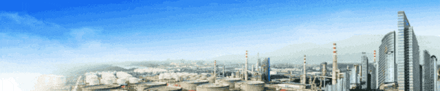 客户价值与员工效能双轮驱动下的成品油营销战略升级研究