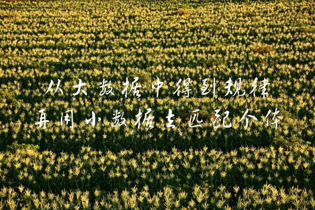 玉米种子营销人员育种常识系列阅读笔记 · 整合完整版