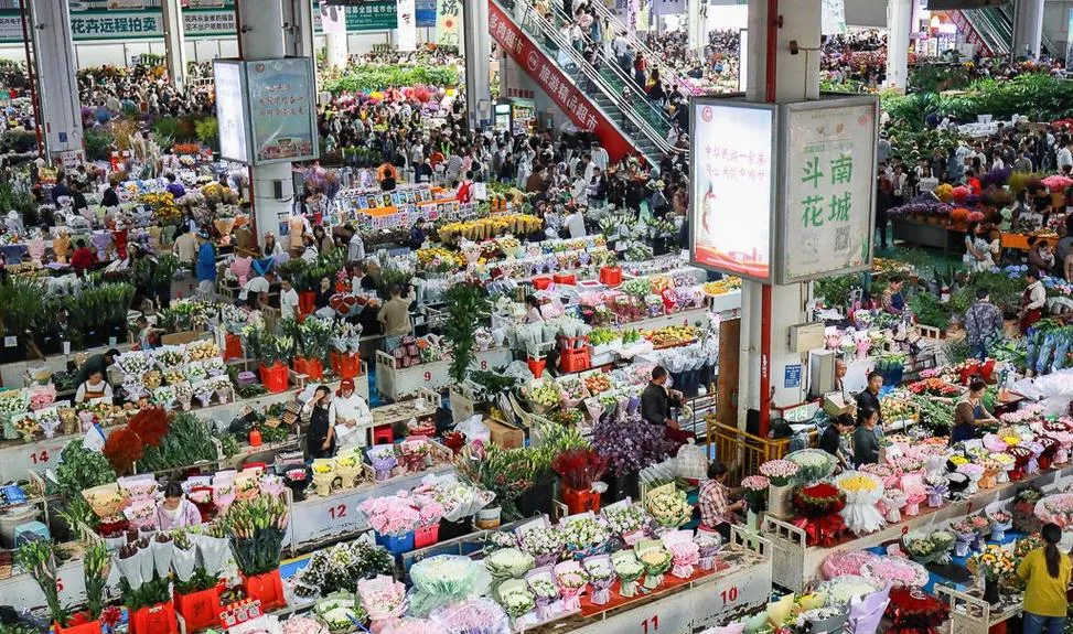 热揪片汤+塑料袋=?花卉市场早餐摊的这波操作,看完整个人都不好了
