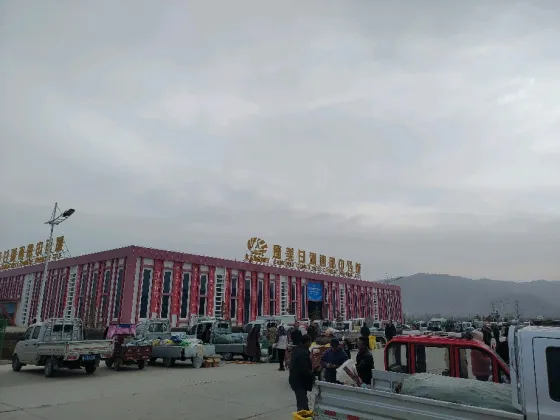 2026年3月24日文峰康美中药材市场快讯