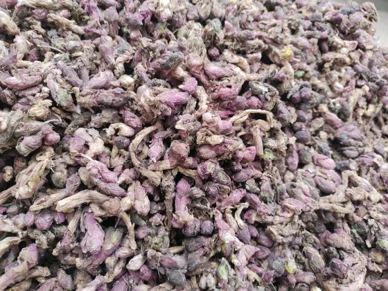 2026年3月24日文峰康美中药材市场快讯