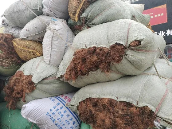 2026年3月24日文峰康美中药材市场快讯