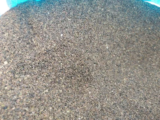 2026年3月24日文峰康美中药材市场快讯