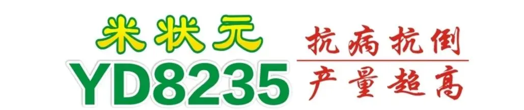 【关注】从张雪峰老师到种业营销人的猝死所想到的……
