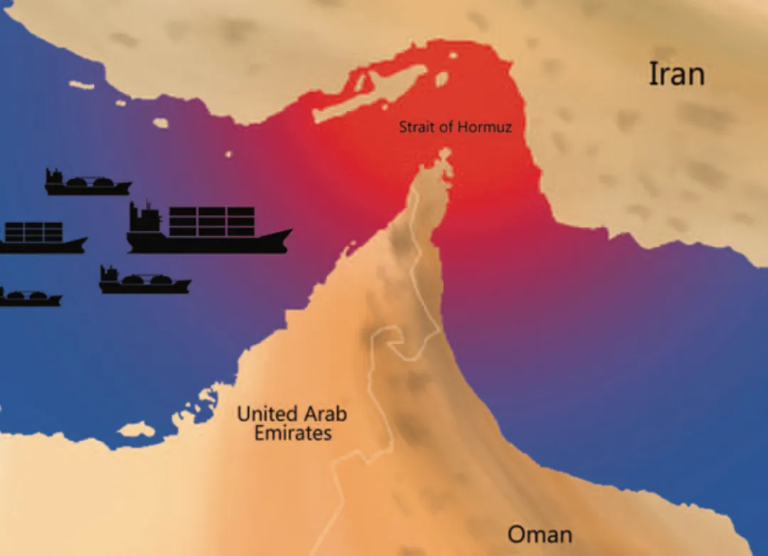 新兴市场国家寻求中国新能源对冲石油美元体系