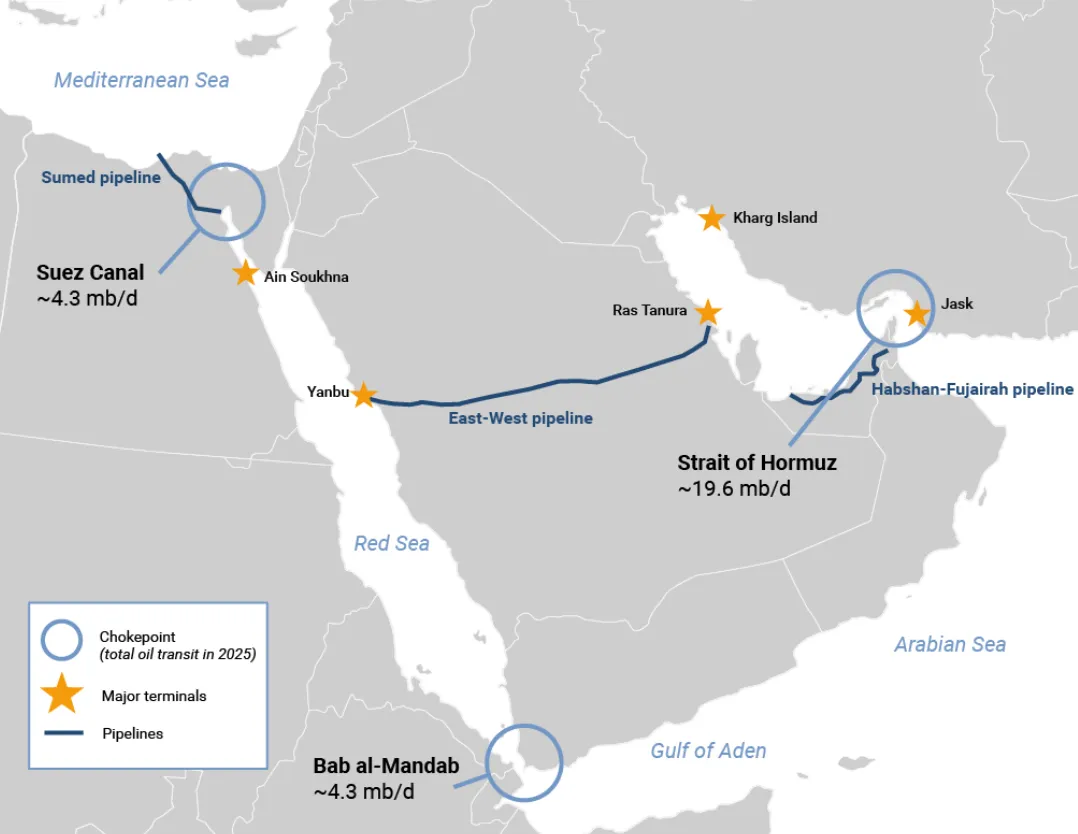 新兴市场国家寻求中国新能源对冲石油美元体系