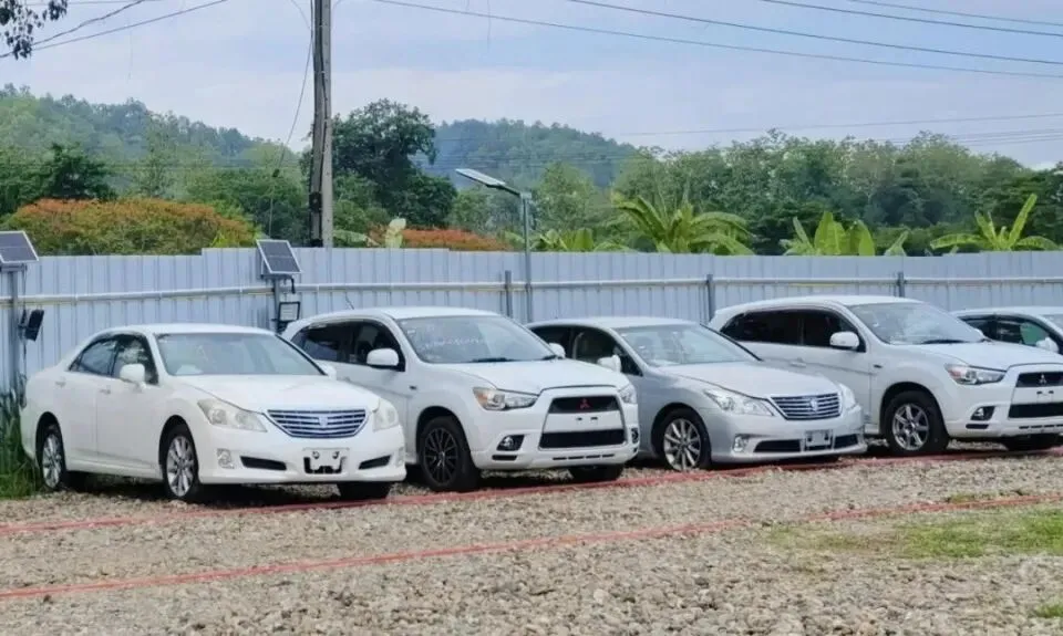 新兴市场国家寻求中国新能源对冲石油美元体系