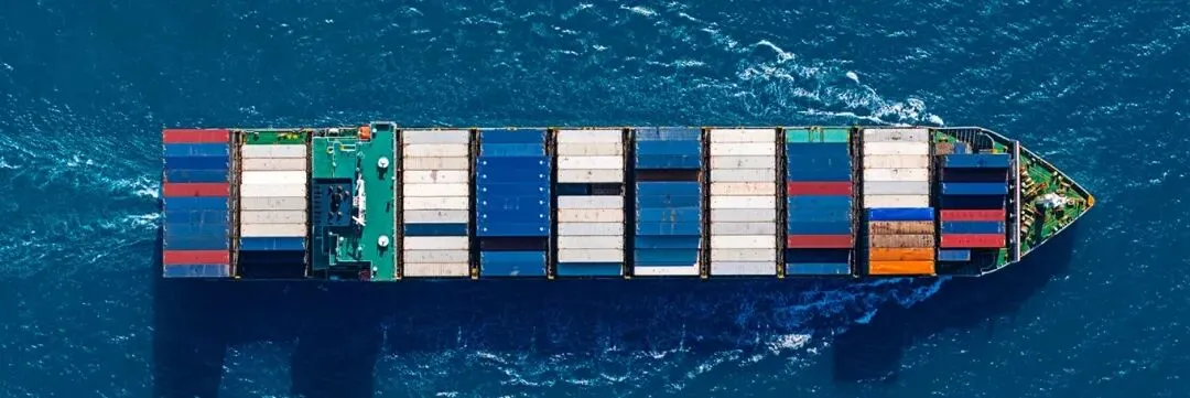 新兴市场国家寻求中国新能源对冲石油美元体系