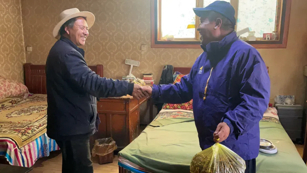 “虫草市场”暴雷!加了这个姑娘微信才知道,源头竟然这么便宜!