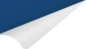 【项目公告】国网河南电力营销服务中心(计量中心)2026年第一次服务授权框架竞争性谈判采购采购公告