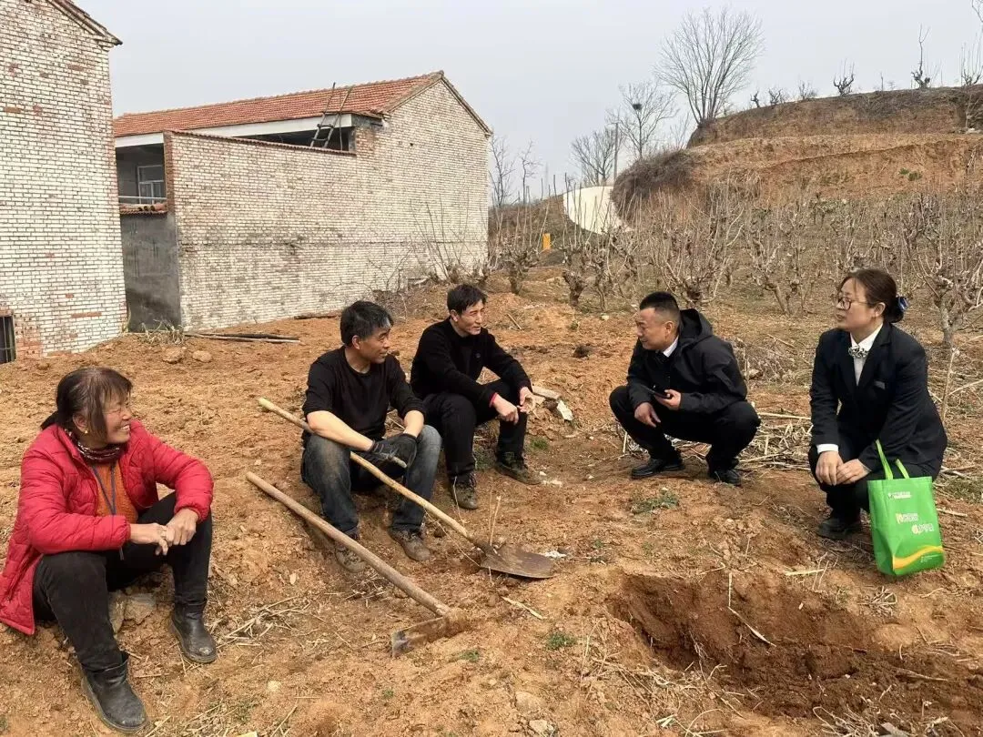 综合营销日 | 次营支行: 织密金融服务“小网格” 书写乡村振兴“大文章”