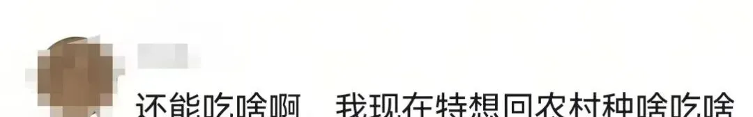 大量激素鸡蛋流入市场?提醒:这3种鸡蛋最好别常吃,真相比你想的复杂