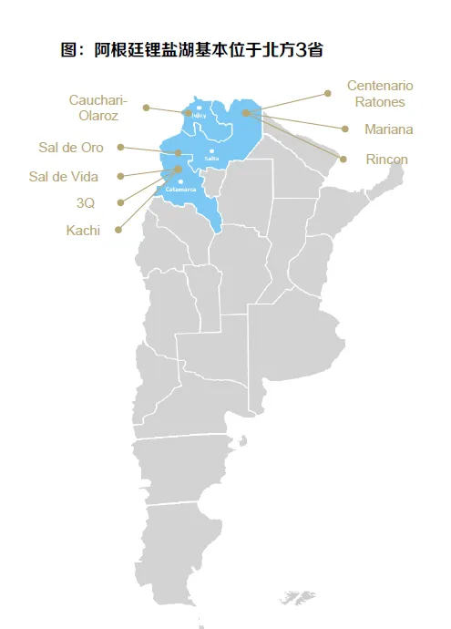 全球锂矿市场区域分布分析(60页报告)