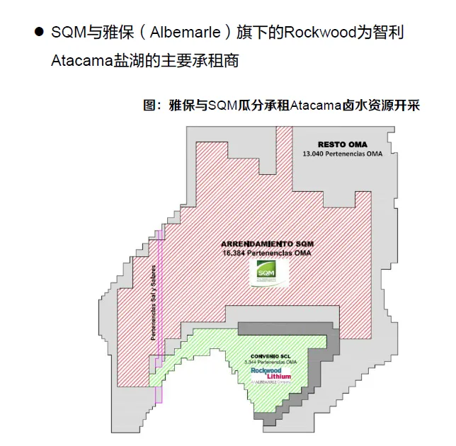 全球锂矿市场区域分布分析(60页报告)