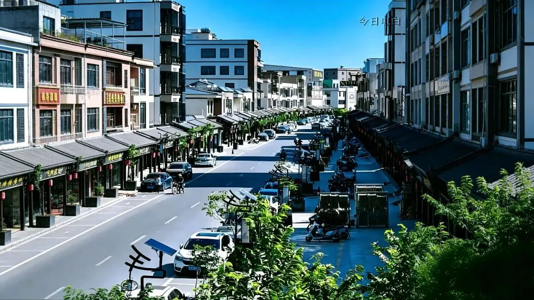 电白观珠镇沙垌沉香市场:香韵织就的产业绮梦