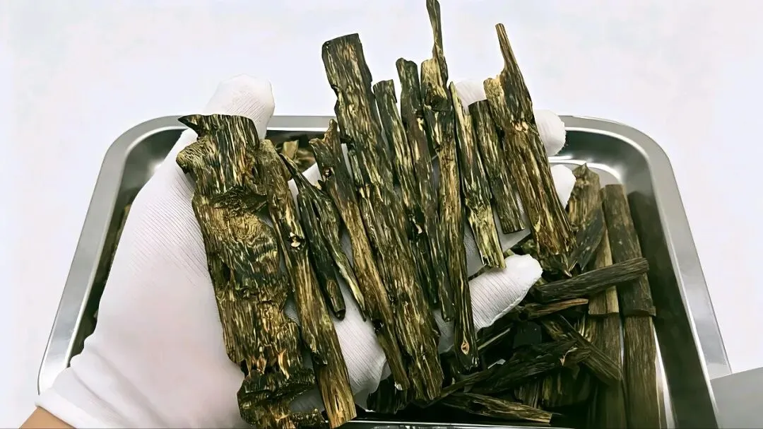 电白观珠镇沙垌沉香市场:香韵织就的产业绮梦