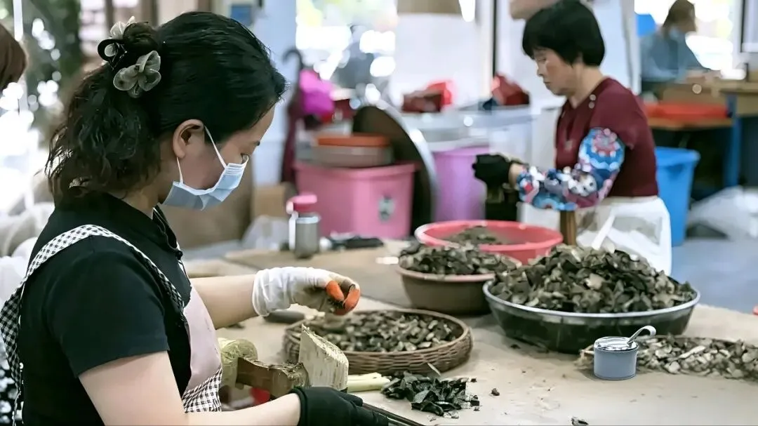 电白观珠镇沙垌沉香市场:香韵织就的产业绮梦