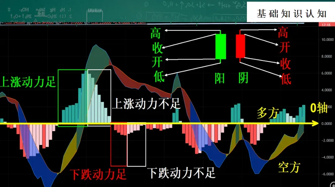 没什么悬念了!市场已经彻底押注11月14日,也就是本周五,美国所有政府和国企部门会重新开门营业!
