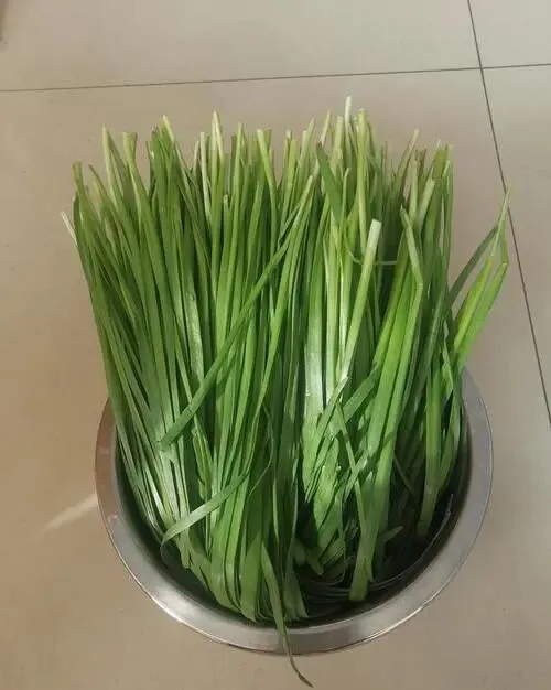 别再被“完美”欺骗!这4种菜市场蔬菜,摊主自己都不碰,你却在狂买