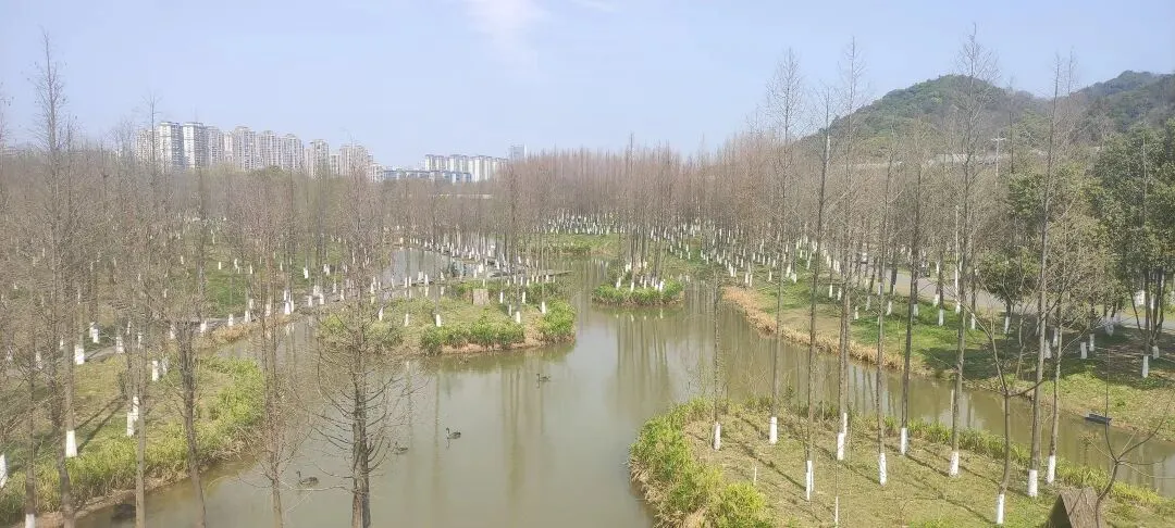 药品流通.国家药监局发通知:统一大市场,统一标准.