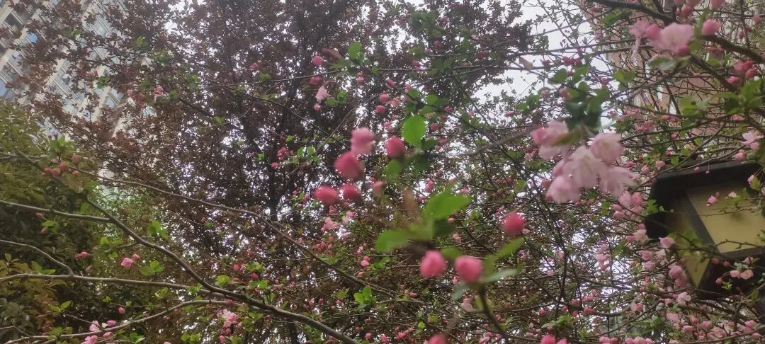 药品流通.国家药监局发通知:统一大市场,统一标准.