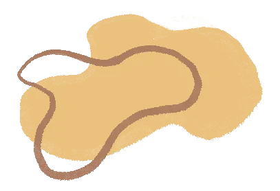 重启新学期!营销协会2025-2026学年第二学期第一次例会暨工作部署会圆满召开