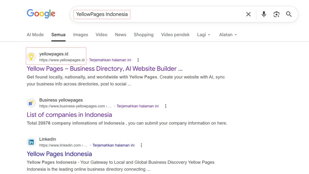 印尼获客难?这篇黄页开发全攻略,助你直达B2B决策人!
