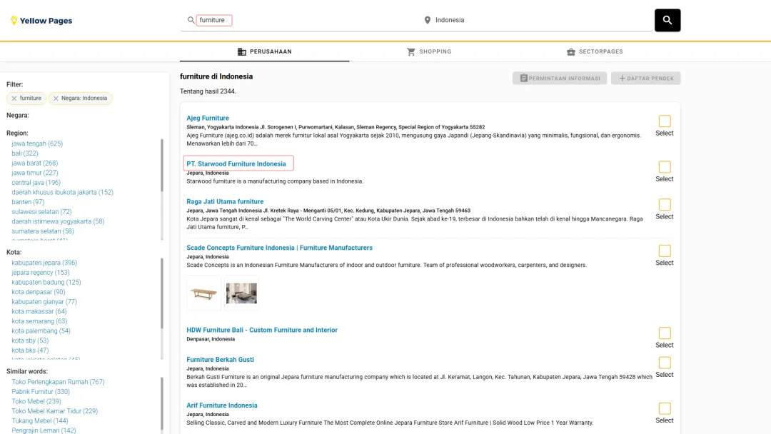 印尼获客难?这篇黄页开发全攻略,助你直达B2B决策人!