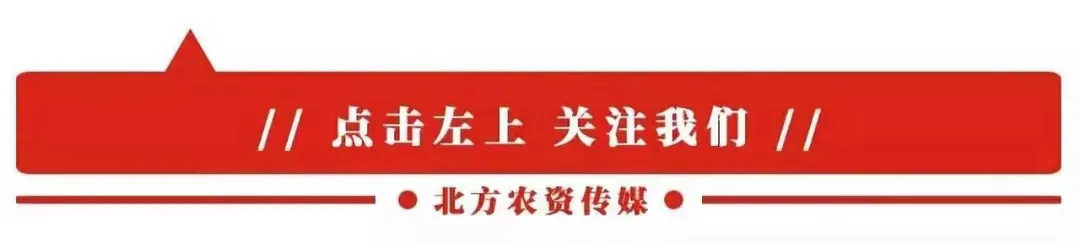内外价差达3000元/吨,尿素市场为何会“兵分两路”?
