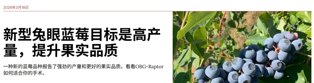 美股市场主要关注化肥尿素氮磷钾对全球农产品供应链的影响