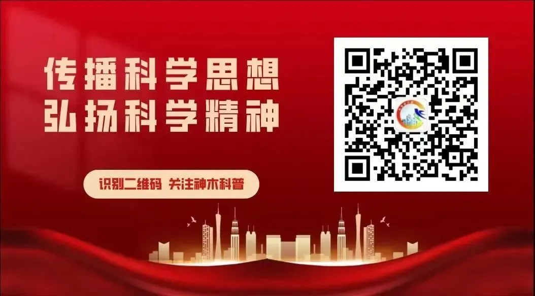 要闻丨全国统一大市场建设为发展新质生产力提供有力支撑