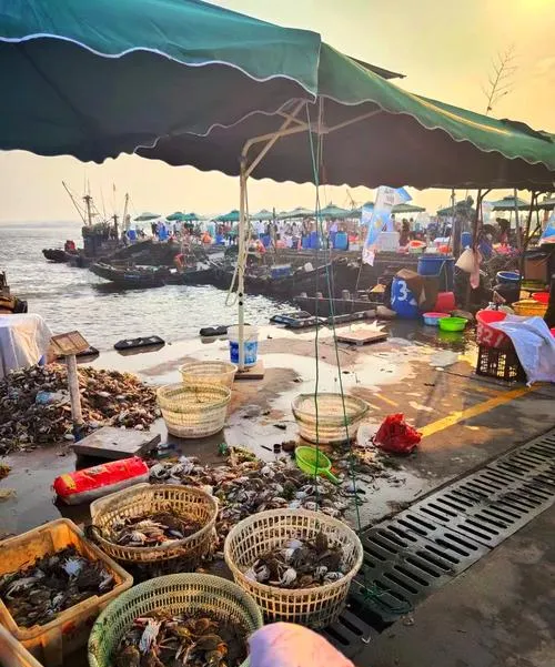 热酸菜鱼粉+塑料袋=?水产市场早餐摊的这波操作,看完整个人都不好了