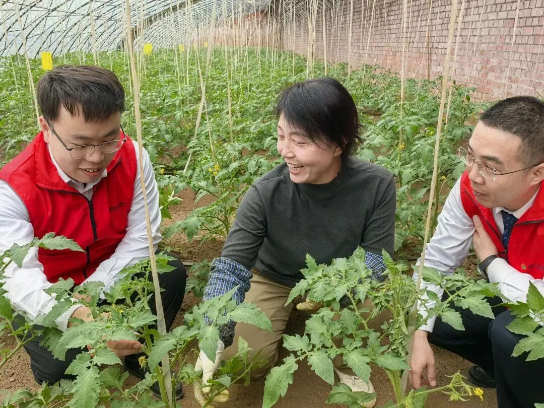 综合营销在行动:高平农商银行普惠下沉,绘就春耕“丰”景