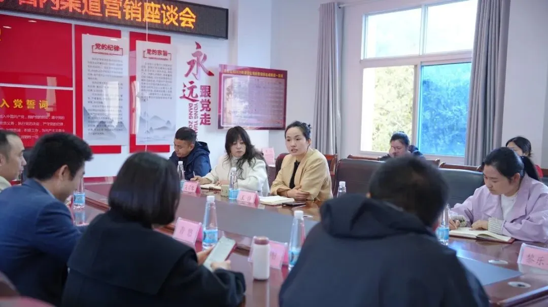 醉美武宁|武宁旅投景区关于江西省内渠道营销座谈会圆满召开