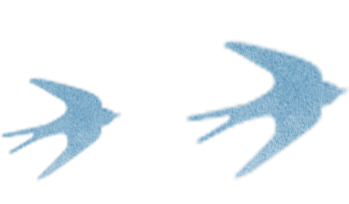 【行业资讯】2026年全省文化市场综合执法能力提升活动在江门举办