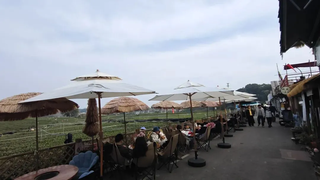 实操分享|没人没团队没流量?低成本搭建+获客的那些故事