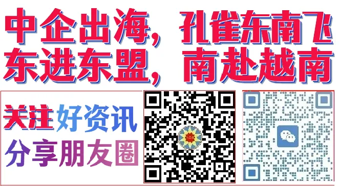 高端“银发经济”:越南潜力巨大的市场