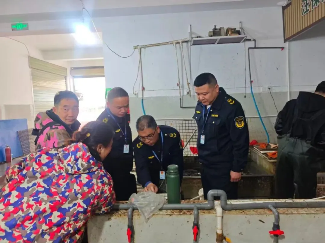 重拳出击护公平 精准计量惠民生丨罗田县市场监管局深入开展城区农贸计量守护治理行动