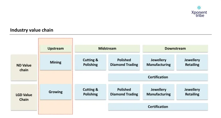 不是价格,不是营销:技术民主化才是培育钻石爆发的真正原因