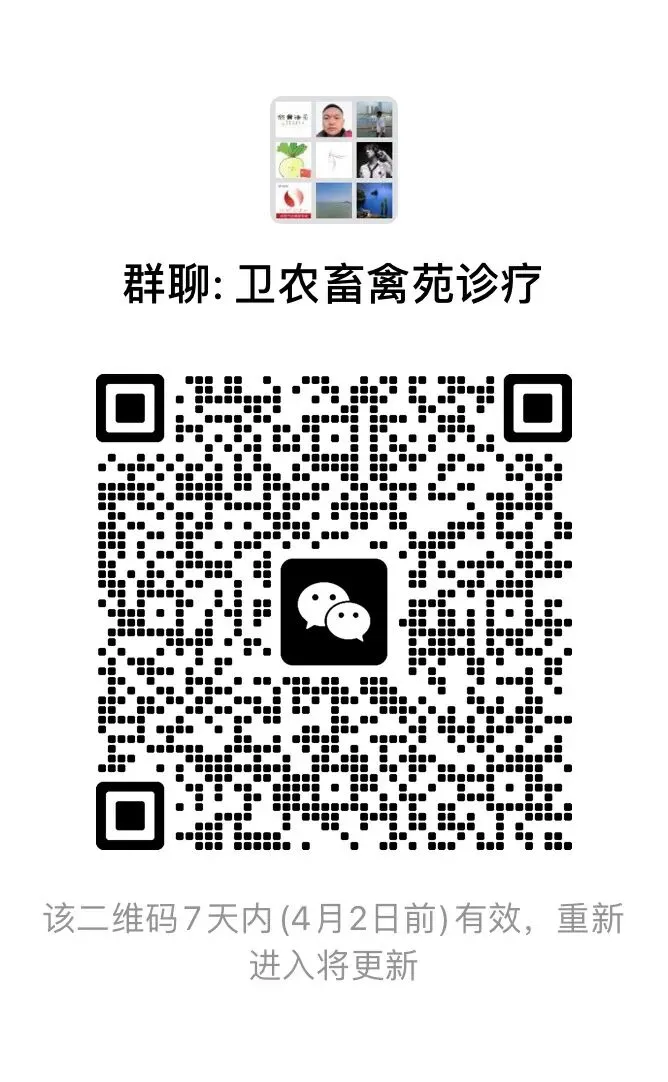 2026养殖兽医市场全景:内卷下的生死局,未来5年趋势曝光,看懂少走5年弯路