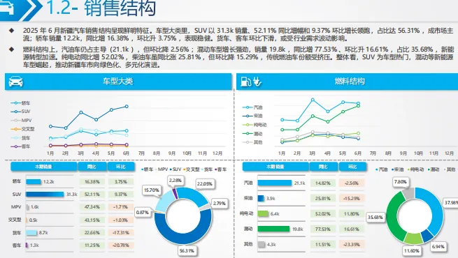 新疆商用车市场分析-39页