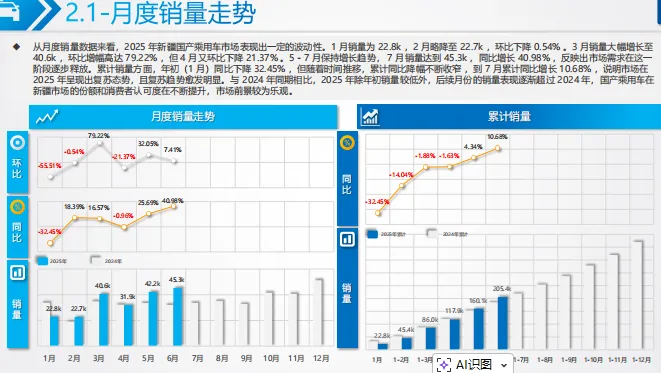 新疆商用车市场分析-39页