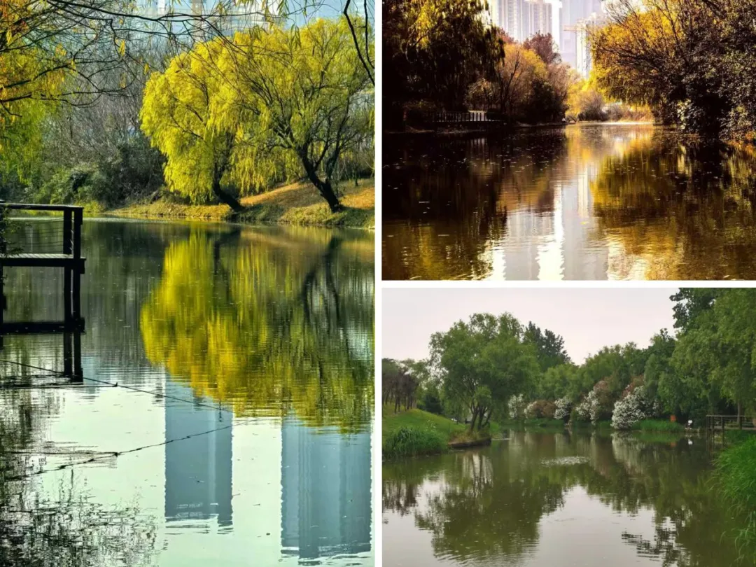 上海主城改善,终于等来能打动市场的真产品