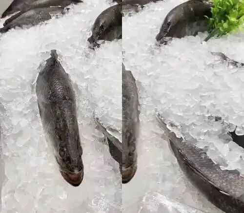 食材冻品企业市场开发·周度执行行动清单